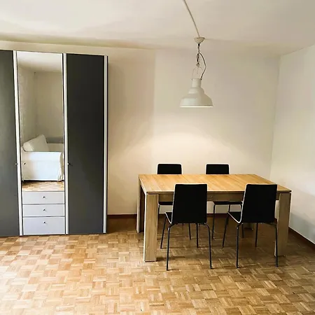 City Center Apartments With Balcony & Garden View Rigi - Self Checkin * Zürih