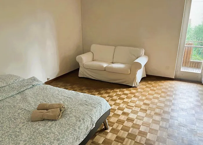 Center With Balcony & Garden View Rigi - Self Checkin Appartamento Zurigo