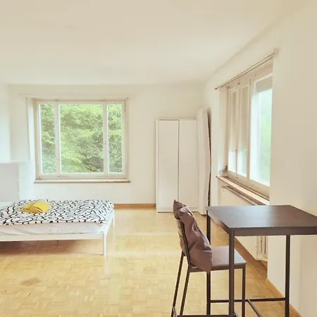 Center Flats With Balcony Garden View Rigi Self Checkin