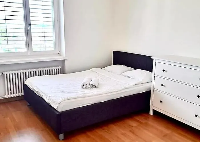 Center With Balcony & Garden View Rigi - Self Checkin * زيورخ